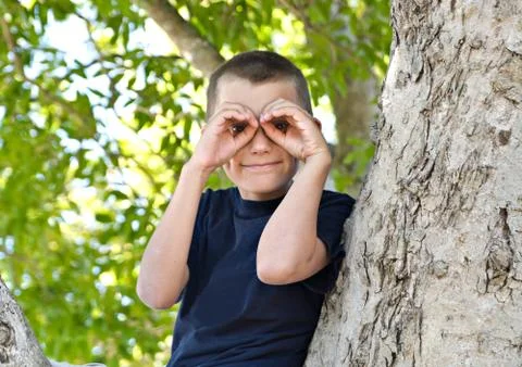 Boy in a tree Stock Photos