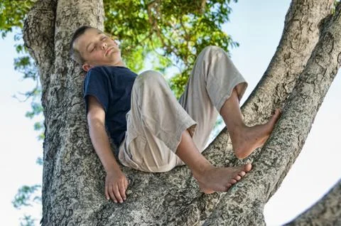Boy in a tree Stock Photos