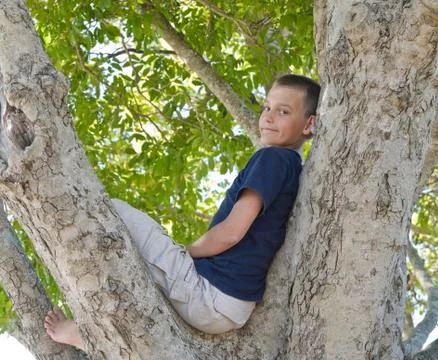 Boy in a tree Stock Photos