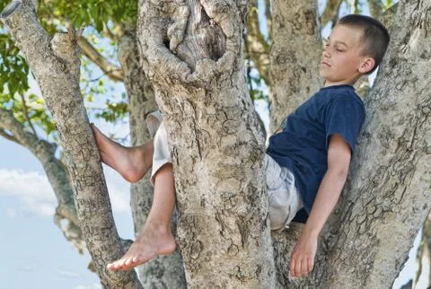 Boy in a tree Stock-Fotos