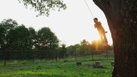 Boy on a tree swing at dusk, Medium shot Stock Footage 308093919