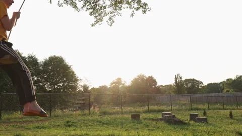 Boy on a tree swing at dusk, medium shot Stock Footage 308094472