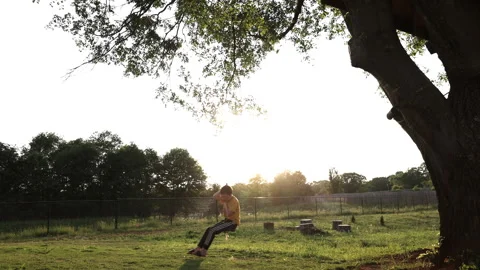 Boy on a tree swing at dusk, wide shot Stock Footage 308094190