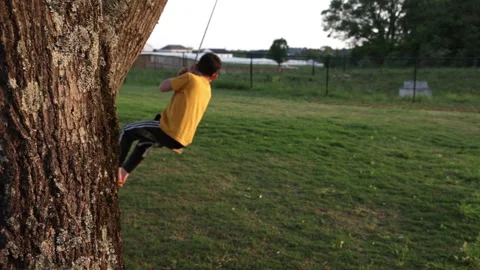 Boy on a tree swing shot between trees Stock Footage 308093945