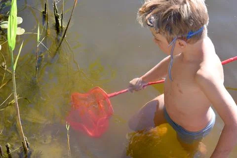 A boy tries to catch a fish with a net in the river. Stock Photos