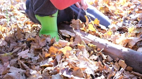 Boy tries to saw a log with a wire saw in camp autumn Stock Footage 164614210