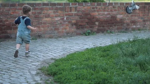 Boy trying to catch pigeon Stock Footage 79927241