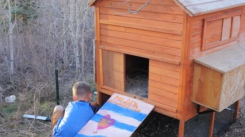 Boy trying to get a chicken in the chicken coop. Stock-Footage 100506191