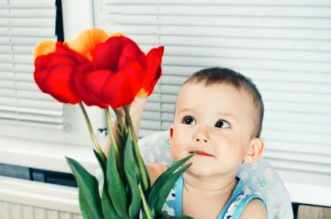 The boy with tulips Stock Photos
