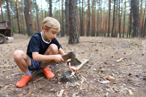 Boy turis in a pine forest Stock Photos