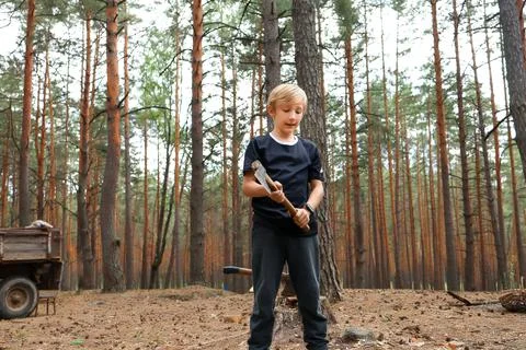 Boy turis in a pine forest Stock Photos