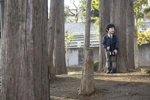 Boy twilight among trees Stock-Fotos