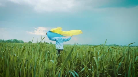 Boy with Ukrainian flag in the wheat field. Little kid waving national flag Stock Footage 242077162