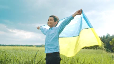 Boy with Ukrainian flag in the wheat field. Little kid waving national flag Stock Footage 242077262