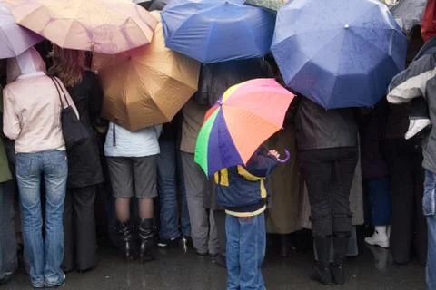 Boy with umbrella Stock Photos