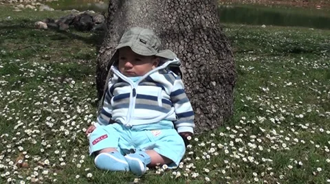 Boy under a tree 2 Stock Footage 37133833
