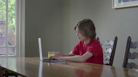 Boy uses Laptop computer. Video stock 63027111