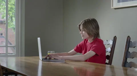 Boy uses Laptop computer. Stock Footage 63029194