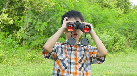 Boy using binoculars in garden Stock Footage 53050190