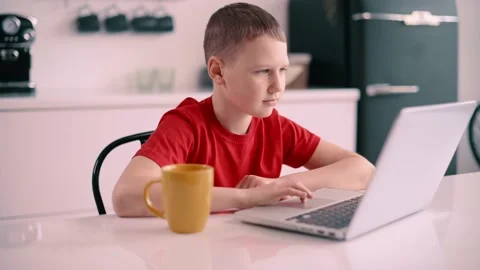 Boy using laptop at home. Stock Footage 195002459