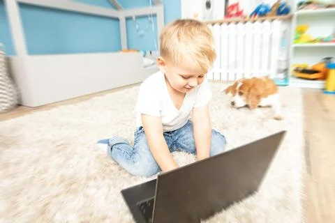 Boy Using Laptop At Home. 写真素材