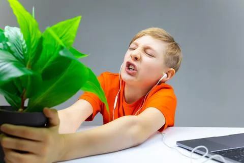 Boy using laptop for online learning Stock Photos