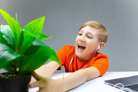 Boy using laptop for online learning Stock Photos