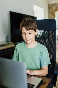 Boy using laptop Stock Photos