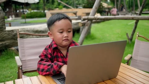 Boy using laptop while attending the online classes in garden. Stock Footage 206076487