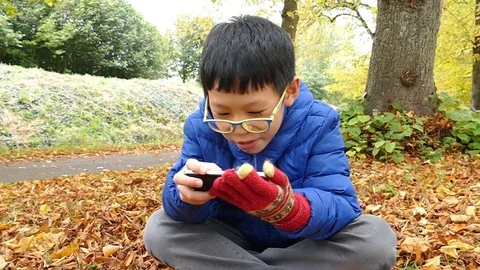 Boy using smart phone in the park Stock Footage 69949541