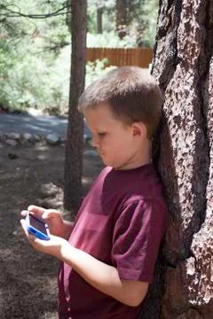 Boy Using Smartphone in Forest Stock Photos