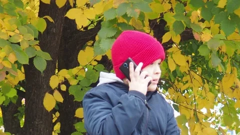 Boy using smartphone in park.  school  boy in casual wear talking on the phone Vidéo 164472407