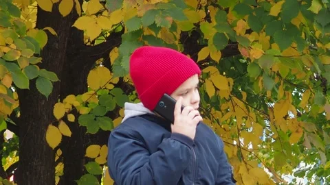 Boy using smartphone in park.  school  boy in casual wear talking on the phone Stock Footage 164472447
