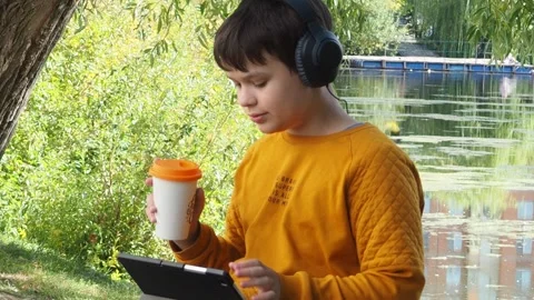 Boy using tablet computer, teenager relaxing in the park Stock Footage 270937190