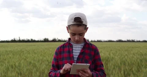 Boy using tablet in green wheat field, combining technology with outdoor Stock Footage 342729774