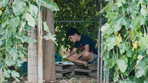 Boy using a torch to read a book under a weeping mulberry tree Stock Footage 275281693