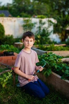 Boy in a vegetable garden Stock Photos