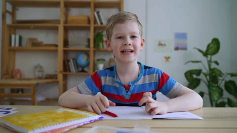 Boy on video call class with tutor, POV webcam shot. Spbas Schoolboy pupil wave Video stock 151733625