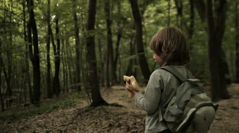 BOY WALK THROUGH THE FOREST Stock Footage 68755761