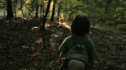BOY WALK THROUGH THE FOREST Stock Footage 68755881