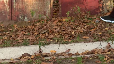 A boy is walking 3 Stock Footage 325590176
