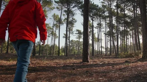 Boy walking alone and contemplating the forest. Stock Footage 100586380