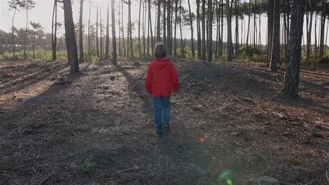 Boy walking alone and contemplating the forest. Stock Footage 100586392