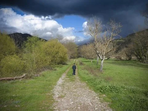 Boy walking alone in the fields Stock Photos