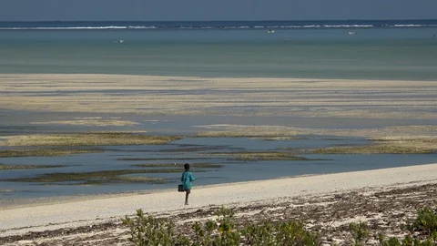 Boy walking along the beach in low tide, Madagascar. Stock Footage 104962176