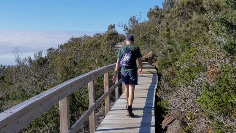 Boy walking along a hiking path with a backpack Stock Footage 110890773