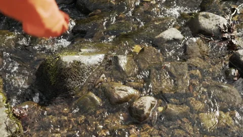 Boy walking around over mossy creek on sunny day Stock Footage 141636453