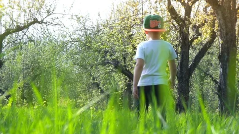 The boy is walking away on the high grass in the garden, tall grass, slow motion Stock Footage 89261327