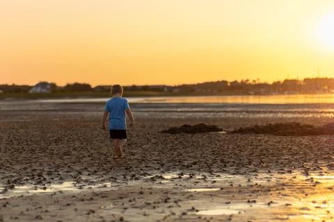 Boy walking on the beach during sunset, exploring the shore at low tide in a Stock Photos