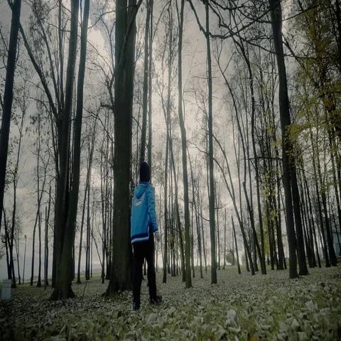 A boy walking casually through the forest. Sliding shot. Autumn. Stock Footage 69322366
